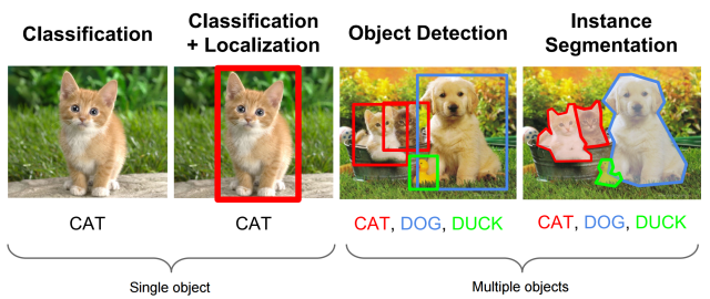 _images/hund_katze_maus.png